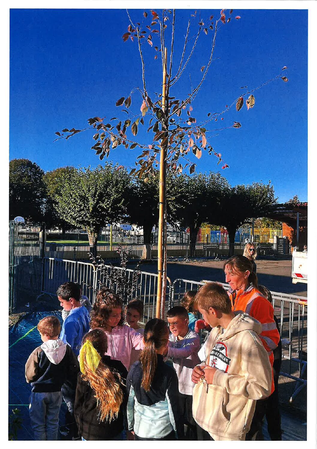 Juillan - Ville des Hautes-Pyrénées - Renaturation cour de l’école